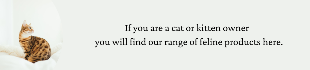 Cat Cat