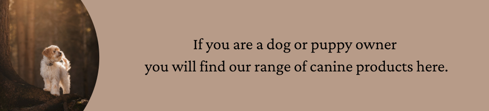 Dog Dog