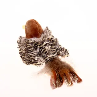 GiGwi Melody Chaser - Bird