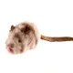 GiGwi Melody Chaser - Mouse 