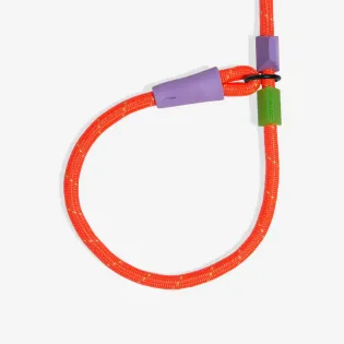 Zee.Dog Slip-N-Lock Leash - Everest 