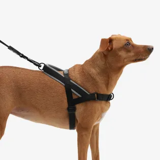 Zee.Dog Softer Walk Harness - Gotham - Large