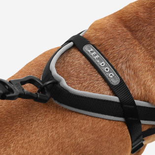 Zee.Dog Softer Walk Harness - Gotham - Small